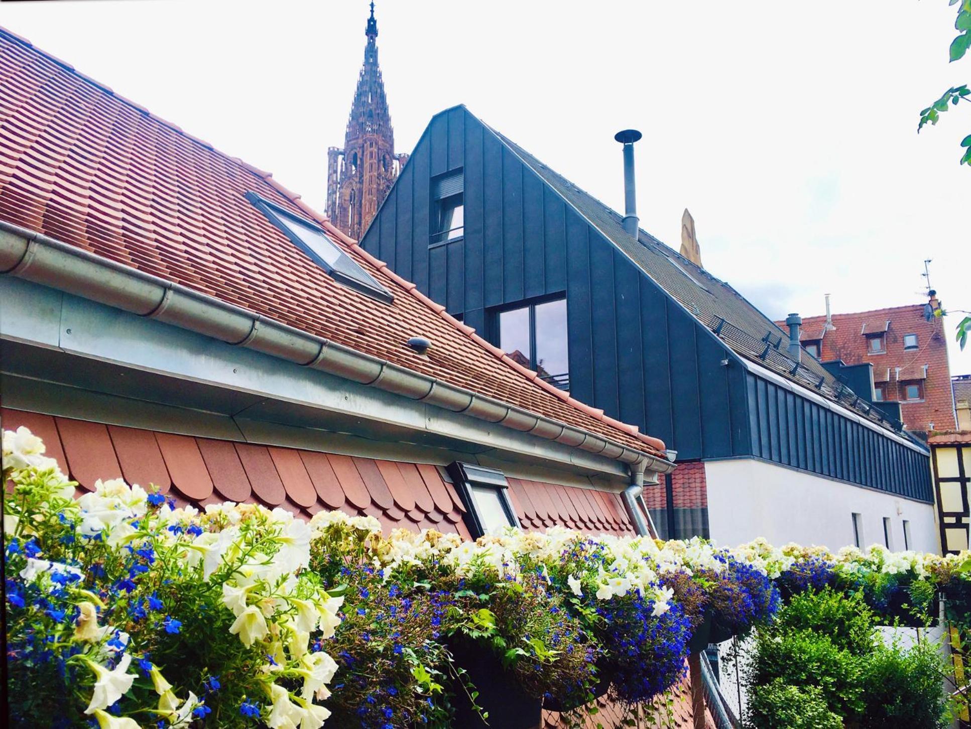 Le Carre D Or Appartement Terrasse Vue Cathedrale 斯特拉斯堡 外观 照片